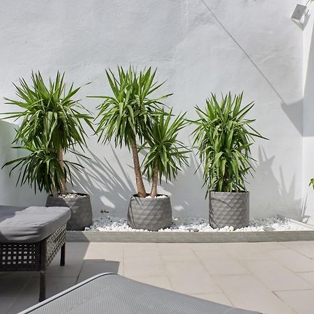 발렌시아 Sunny Cozy Penthouse With A Terrace At Plaza Del Carmen 아파트 외부 사진